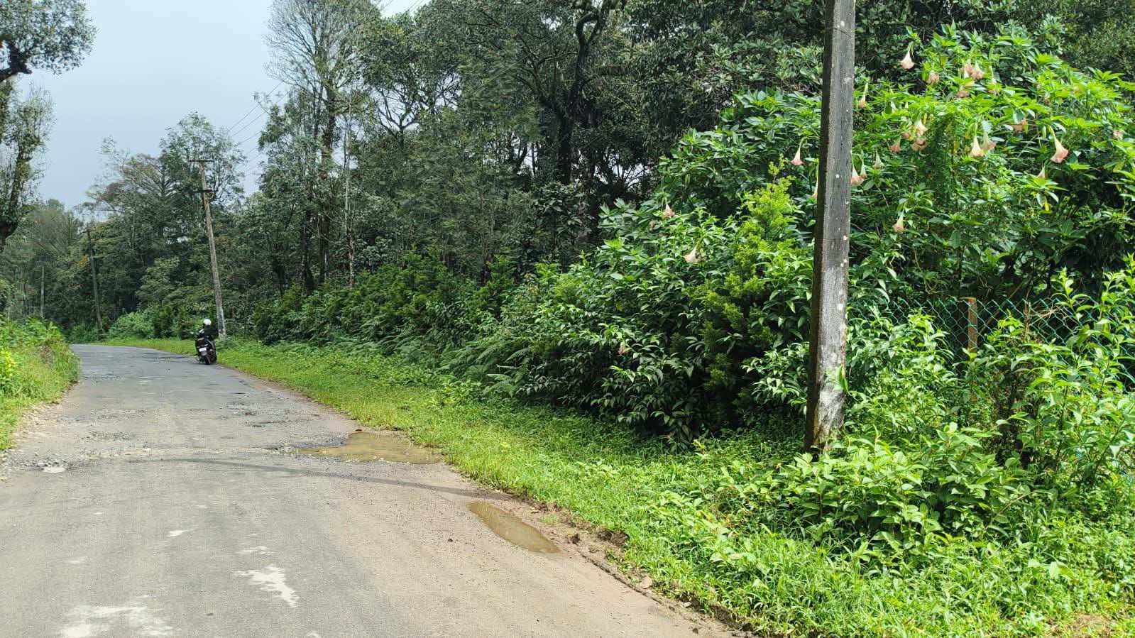 2.98 acres, situated on Gaalibeedu main road, Madikeri Coorg — photo 1