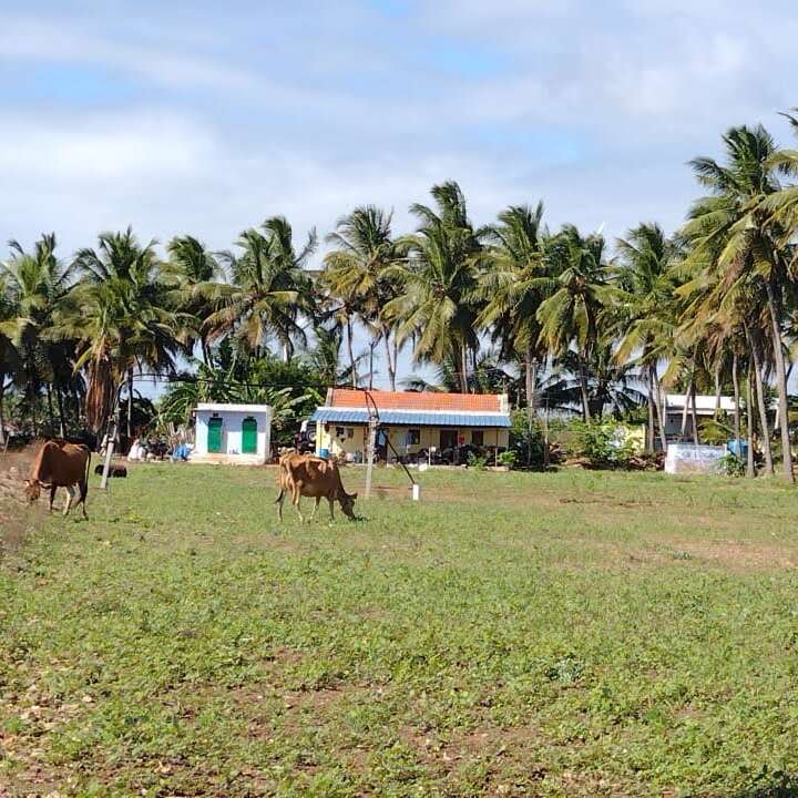 1 Acre — photo 1
